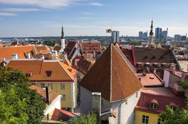 Starý tallinn — Stock fotografie