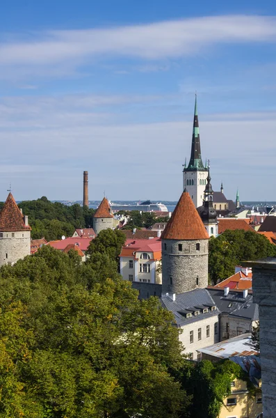 Velho Tallinn — Fotografia de Stock