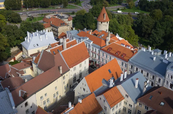 Oude tallinn — Stockfoto