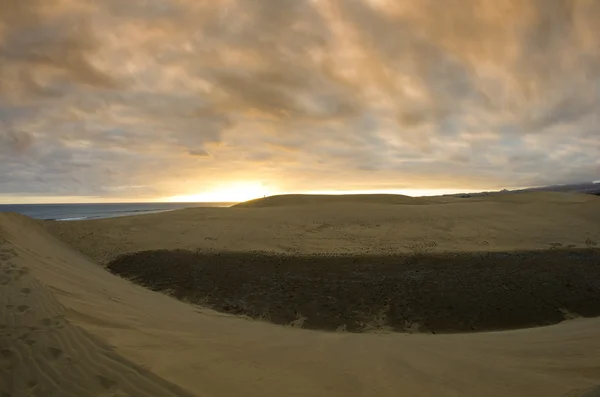 Duny maspalomas — Stock fotografie