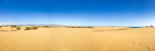 Dunes of Maspalomas — Stock Photo, Image