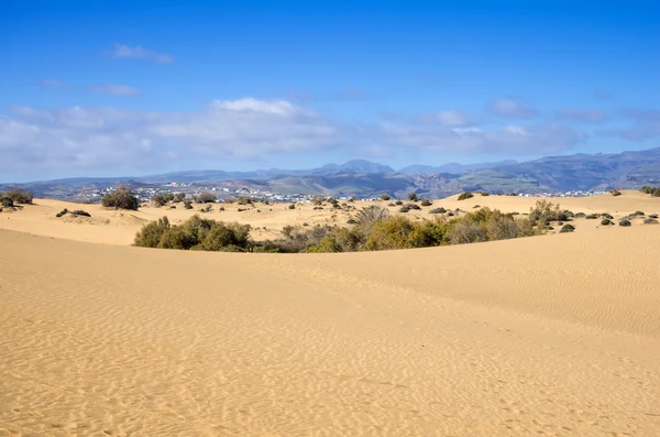 Sanddynerna i maspalomas — Stockfoto