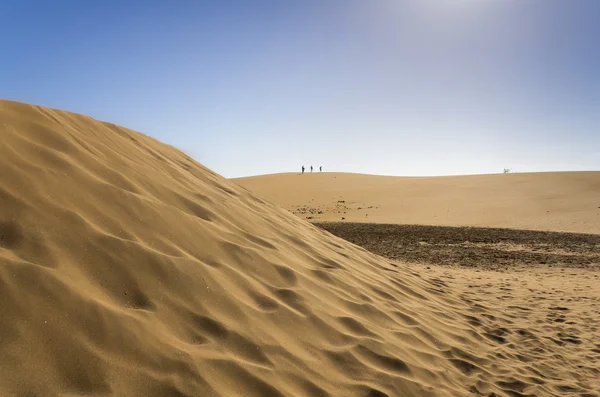 Sanddynerna i maspalomas — Stockfoto