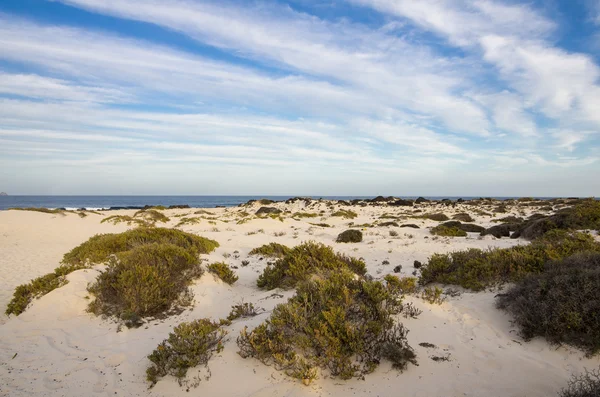 Weißer Sandstrand — Stockfoto