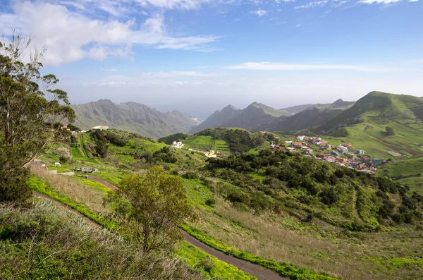 Tenerife — Fotografia de Stock