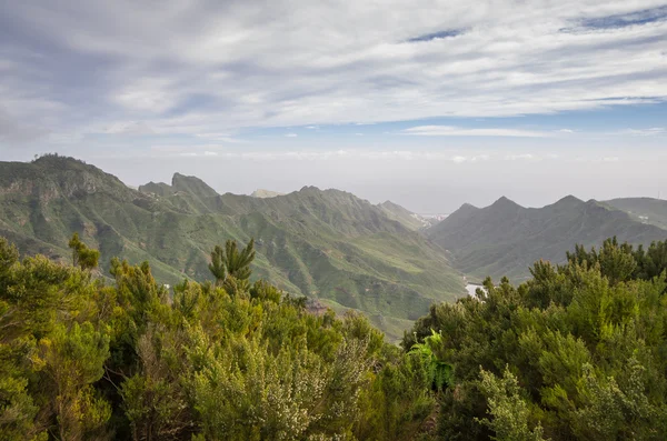 Tenerife — Stock Photo, Image