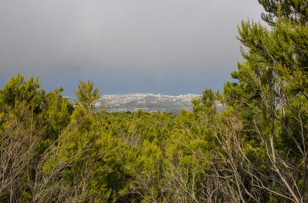 Tenerife —  Fotos de Stock