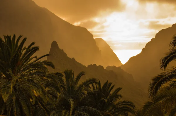 Tenerife on sunset — Stock Photo, Image