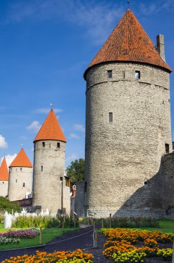 tallinn eski kule