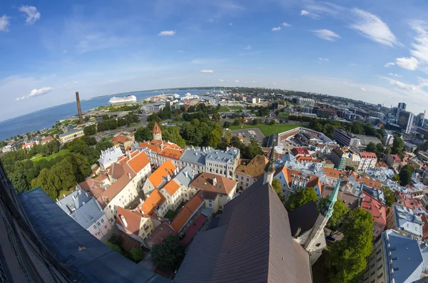 Starý tallinn — Stock fotografie