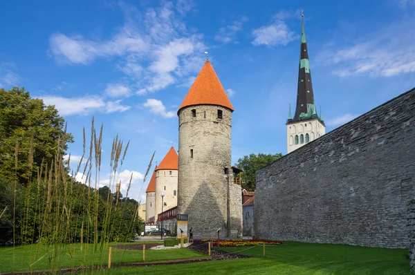 Torres del antiguo Tallin — Foto de Stock