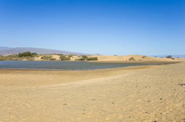 Zalew w Maspalomas — Zdjęcie stockowe