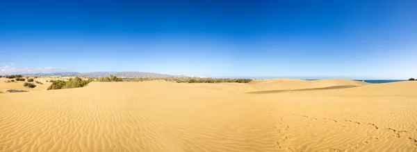 Dunes of Maspalomas — Stock Photo, Image