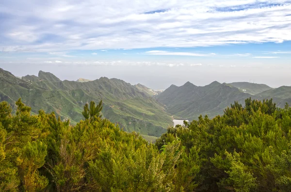 Tenerife — Foto de Stock