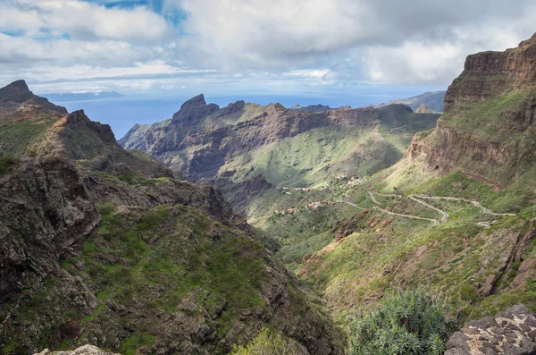 Tenerife — Fotografia de Stock