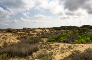Tepeleri de La Marina