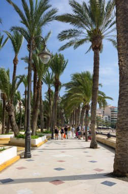  Benidorm çıkabilir