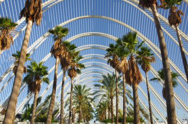 Sanat ve Bilimler kenti