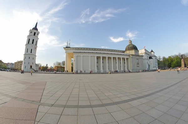 Domkyrkan domän square — Stockfoto