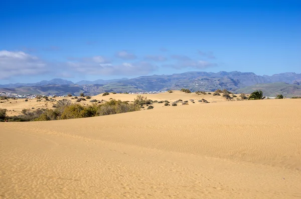 Dunas de Maspalomas —  Fotos de Stock