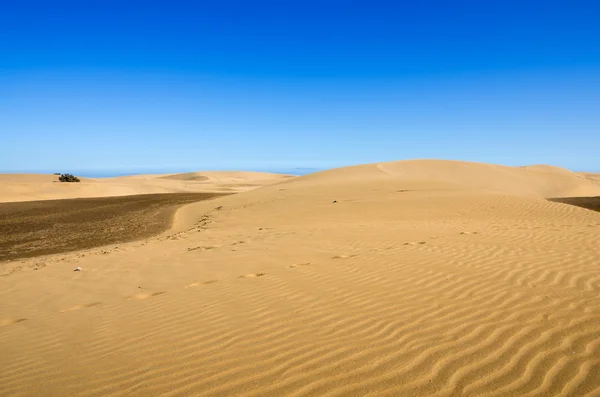 Dunas de maspalomas — Fotografia de Stock