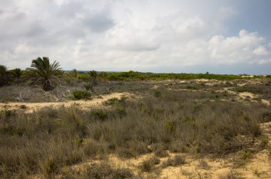 Tepeleri de La Marina