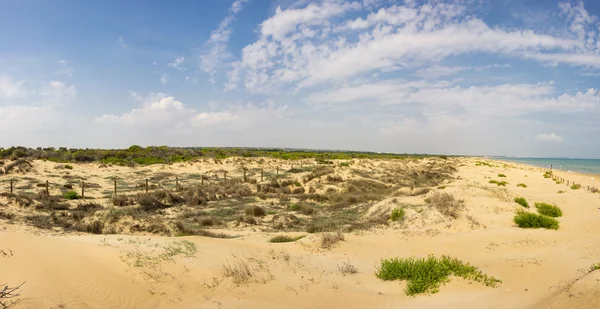 Dunes de La Marina — Zdjęcie stockowe