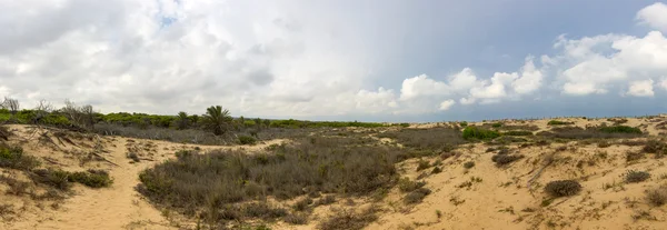 沙丘 de La 滨海 — 图库照片