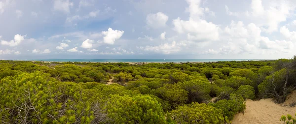 Dunes de La Marina — Zdjęcie stockowe