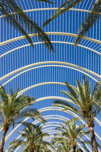 Palm alley in the City of Arts and Sciences — Stock Photo, Image