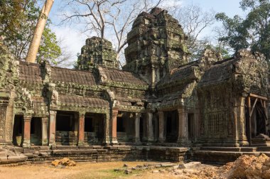 ta prohm Tapınağı