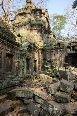 ta prohm Tapınağı