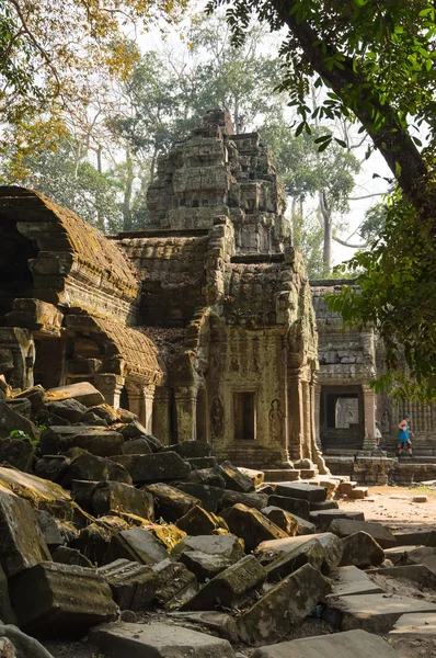 Templo de Ta prohm —  Fotos de Stock