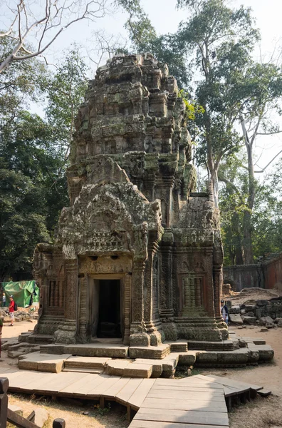 Templo de Ta prohm —  Fotos de Stock