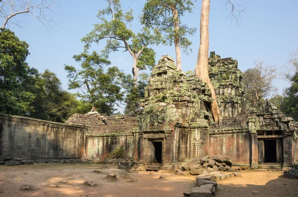 Ta prohm chrám — Stock fotografie