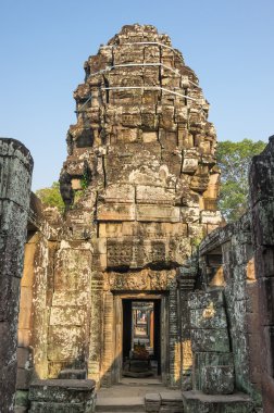ta prohm Tapınağı