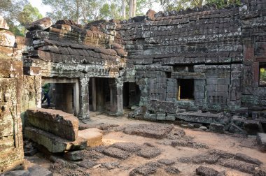 ta prohm Tapınağı