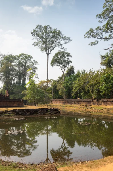 Banteay srei Tapınağı — Stok fotoğraf