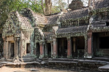 ta prohm Tapınağı
