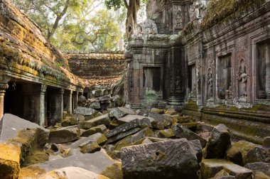 ta prohm Tapınağı
