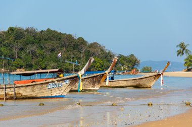 geleneksel Tay long tail tekne