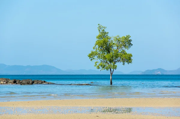 Klong Muang Strand — Stockfoto