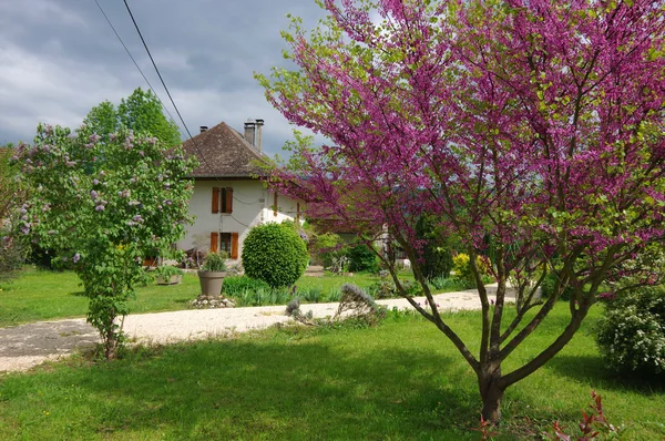 Hus i fransk landsby - Stock-foto