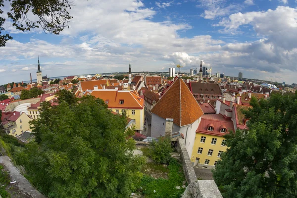 Panorama eski Tallinn — Stok fotoğraf