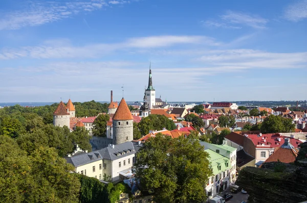 Panorama starých tallinn — Stock fotografie