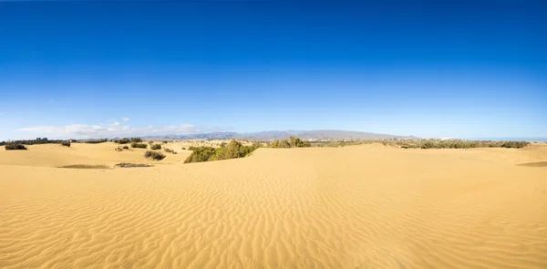 Sanddynerna i maspalomas — Stockfoto