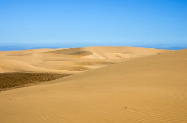 Dunes of Maspalomas — Stock Photo, Image