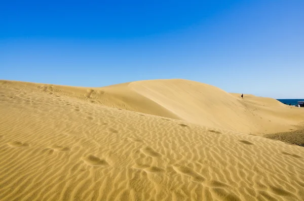 Dunes of Maspalomas — Stock Photo, Image