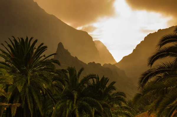 Panorama of Tenerife — Stock Photo, Image