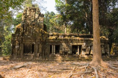 Angkor Wat karmaşık tapınakta ta Prohm